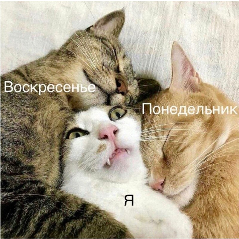 Утренняя подборочка