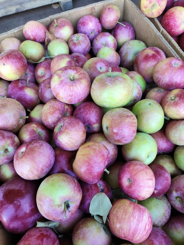 26 ноября возле 