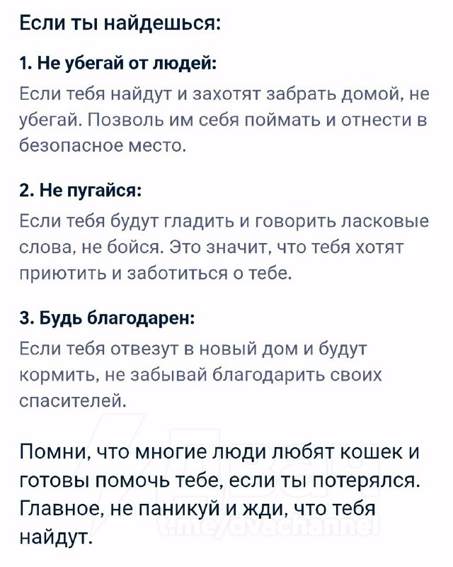 Наконец-то поисковая нейросеть гугла выдала реально полезный совет