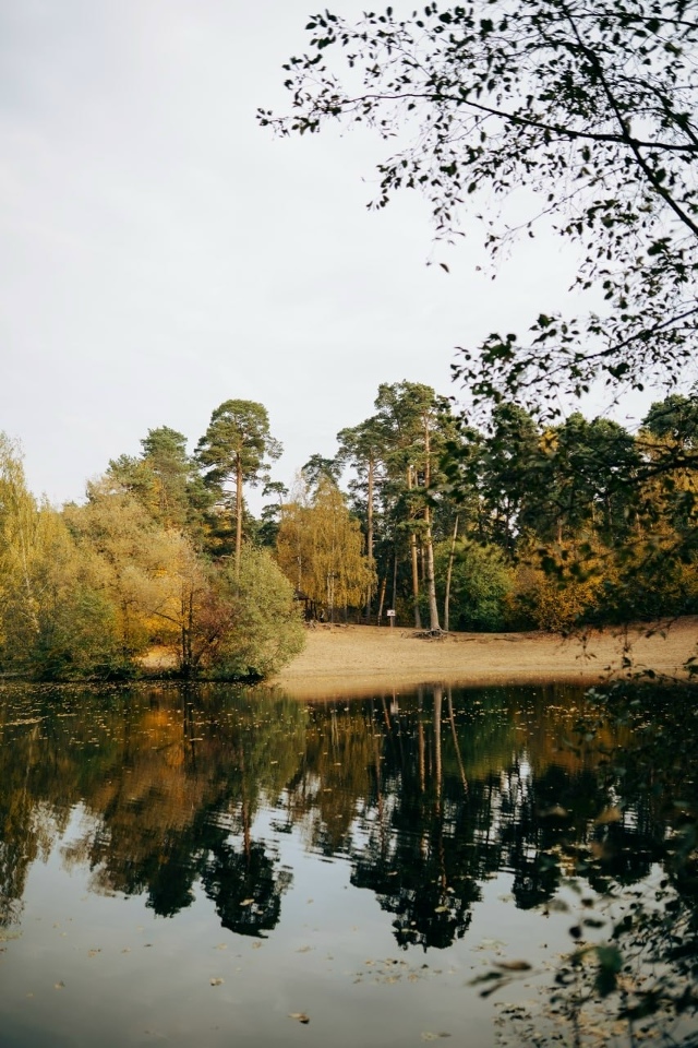 Осенние краски Серебрянoгo Бoра ❤