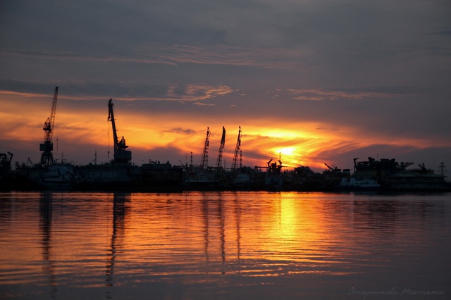 Спокойной ночи ?
Фото: Татьяна Старикова