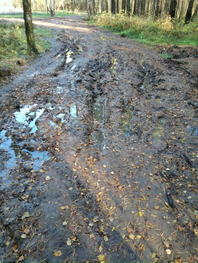 Добрый день, отрадненцы. Возник вопрос к тем, кто в курс...
