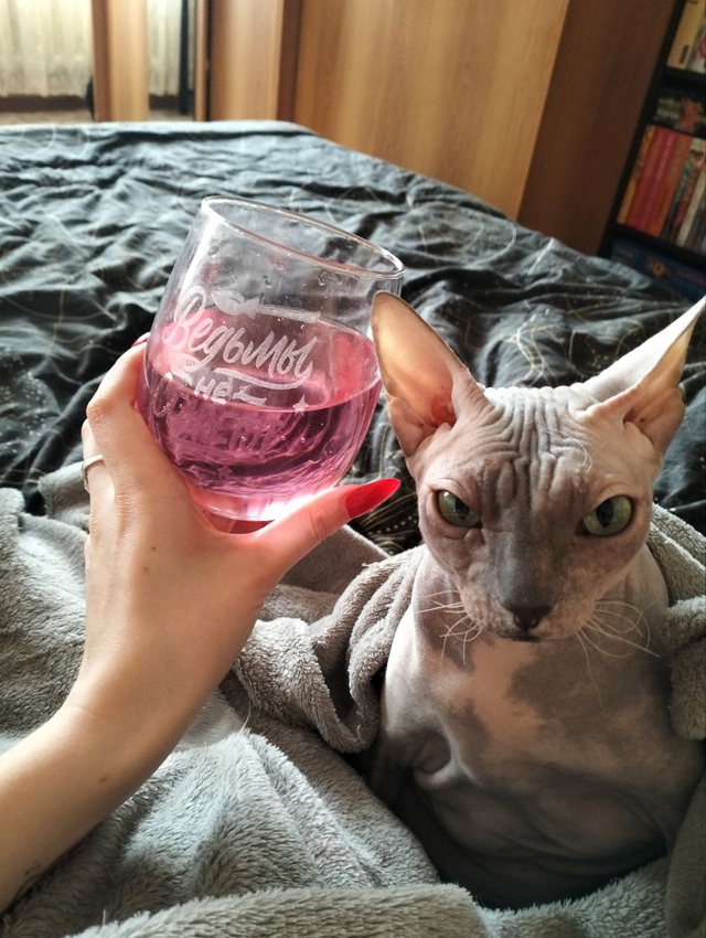 Бусинда😸