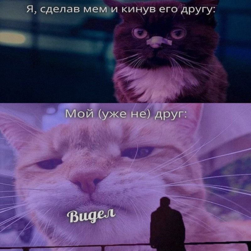Ночная подборочка
Спать, режим