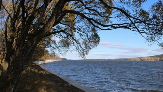 ПОЗДНЯЯ ОСЕНЬ
Уж падать нечему с деревьев.
Костёр кле?...
