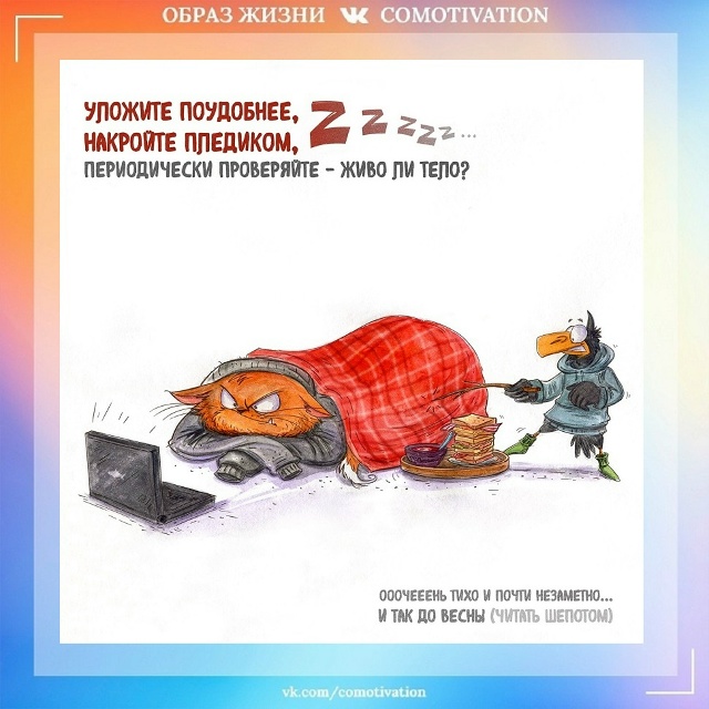 9 советов от иллюстратора Bird Born.
Больше всего понравилс...