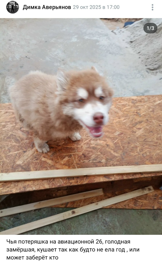 Пост добра. Распространите, пожалуйста.