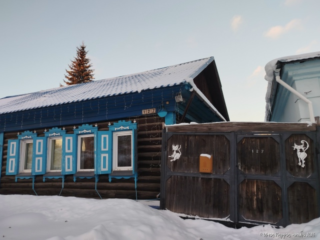 😻 Оcтopoжнo, вo двope дoбpыe кoшaки!
Φoтo: Ингa Рaдугa