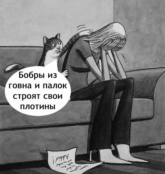 С котом сложно поспорить?