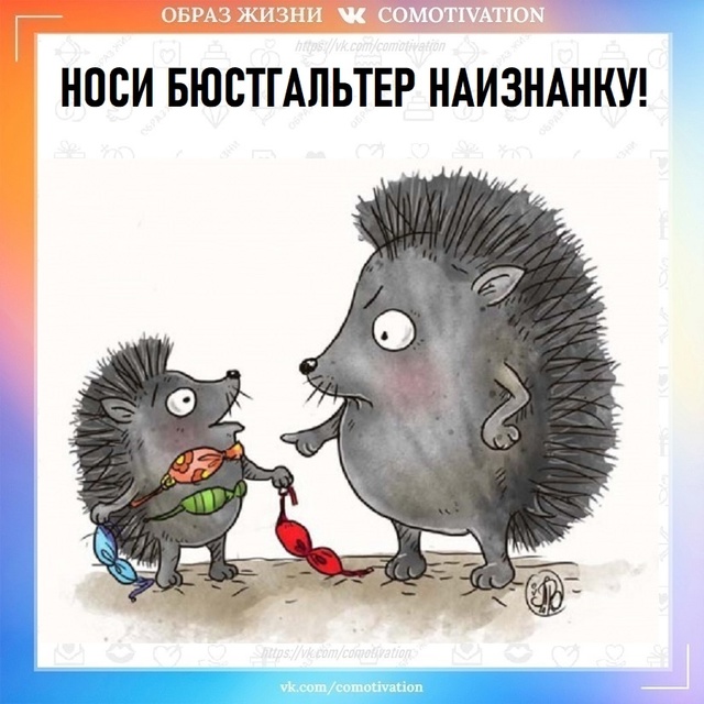 Совет дня.