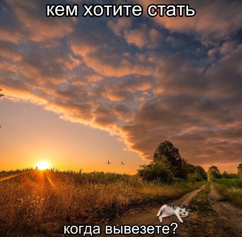 Утренняя подборочка