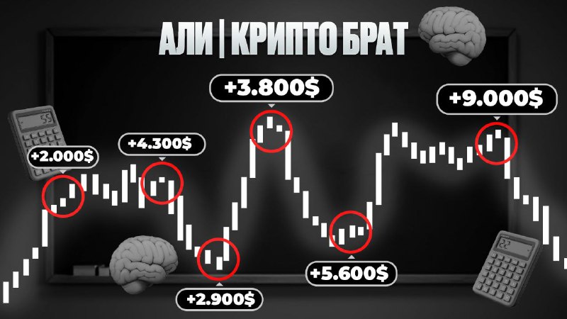 ✅Каждому трейдеру необходимо читать этот канал!
Али находится на рынке с 2016 года, очень опытен в