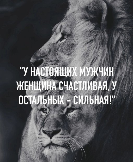 Но не всем настоящим мужчинам везет с женщиной🤭