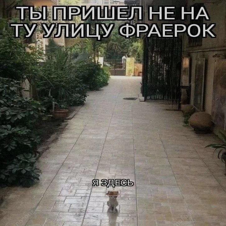 Ночная подборочка
Спать, режим