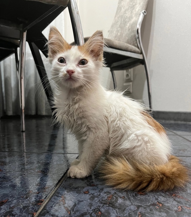 1. Бегала в районе 1 поликлиники, наверное потерялась.
а...