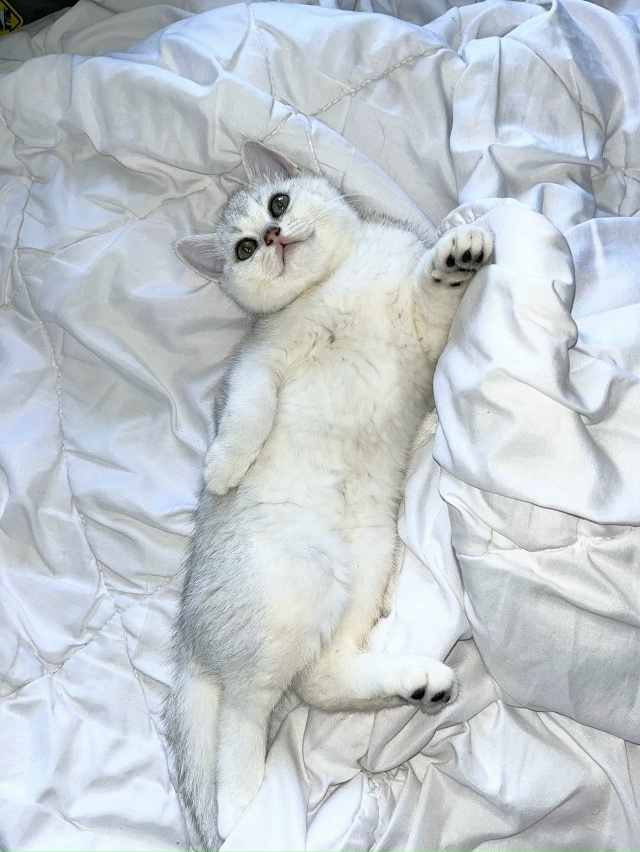 Всем доброго времени суток.
15.10.2025 г. Примерно в 5 утра п...