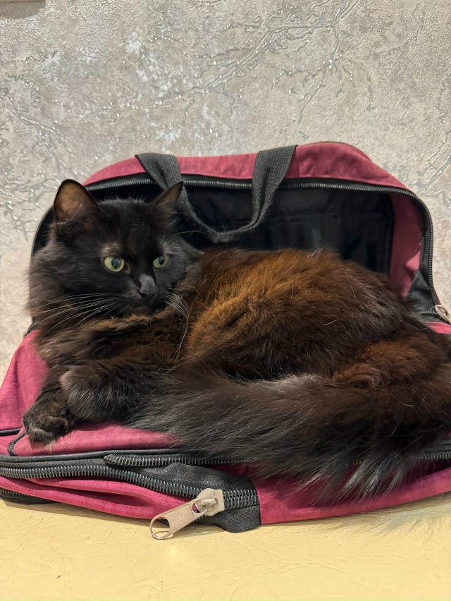 Приватизировано)))