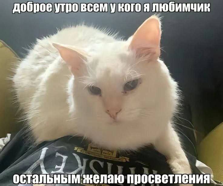 Утренняя подборочка
