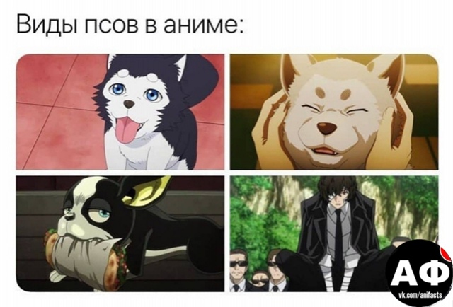 аниме факты