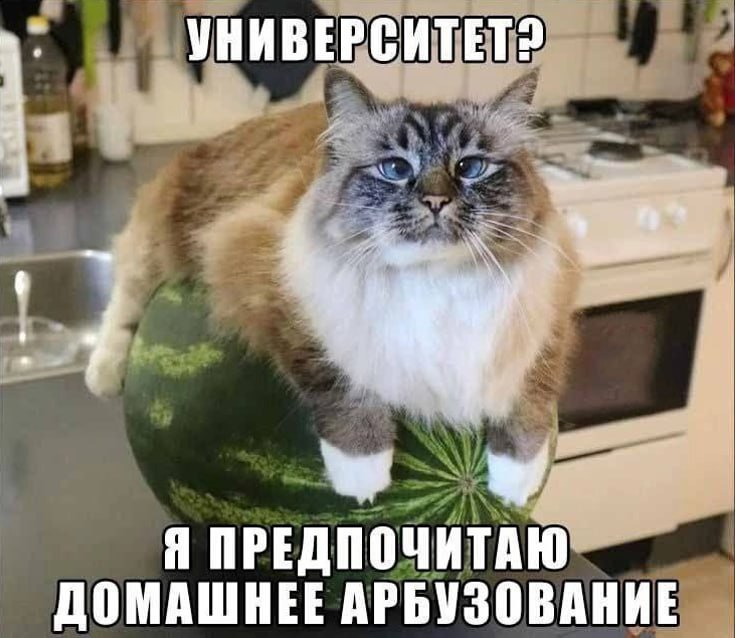 Утренняя подборочка