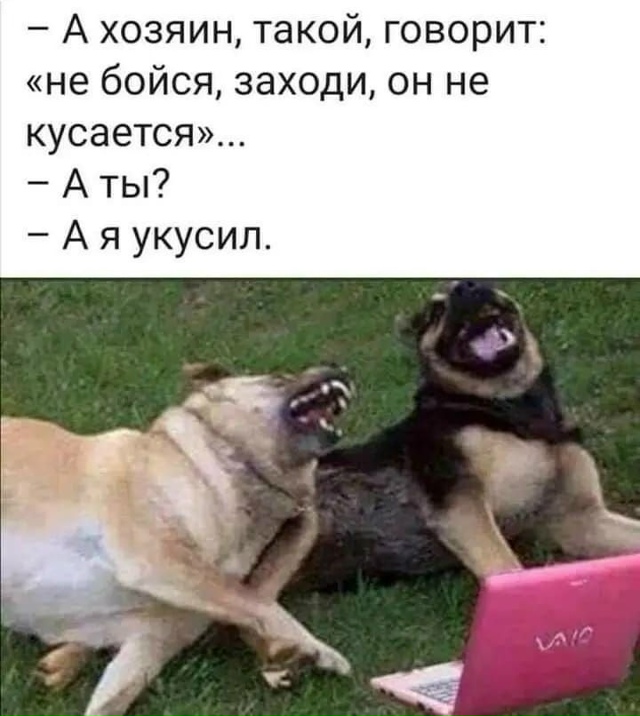 ? Предлагают запретить держать в квартирах опасные п?...