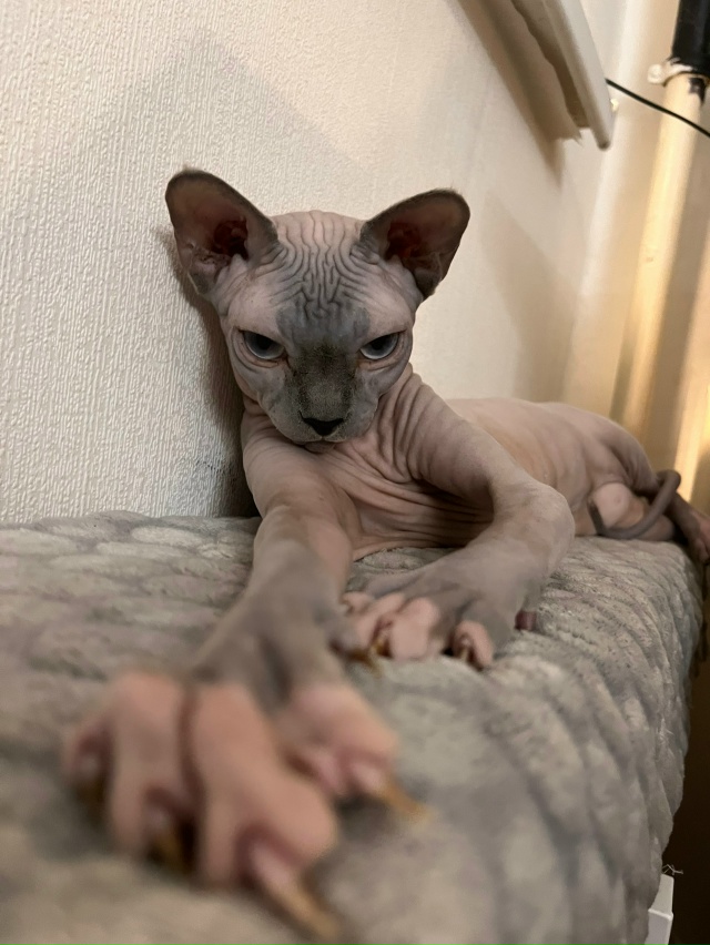 Лола, она же Пипса, она же сладкая булка сегодня праздн?...