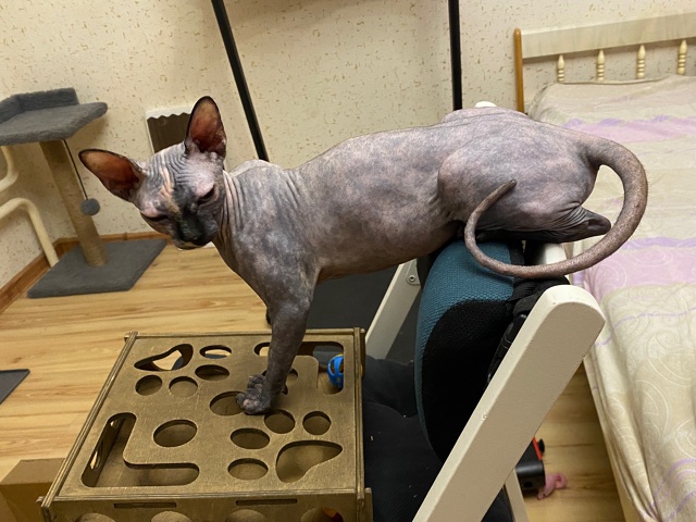 Джульке годик! ?
p.s. Последнее фото сделано в первый д?...