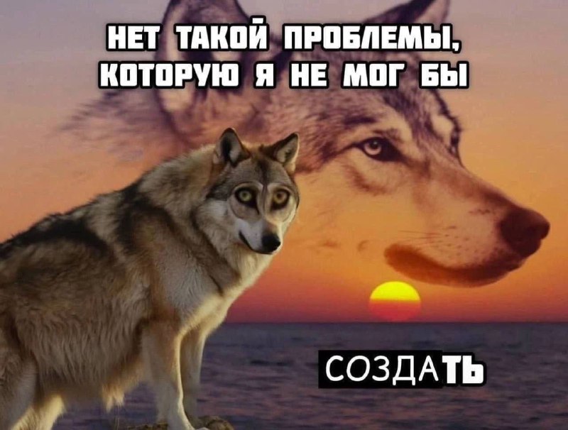 Утренняя подборочка