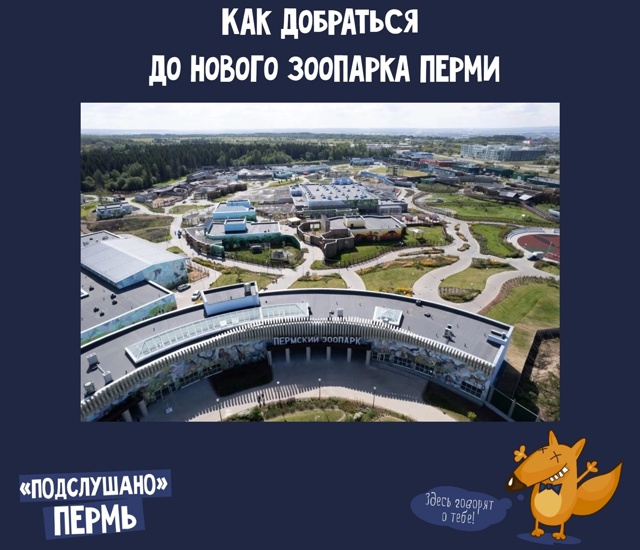 🐻 Как добраться до нового зоопарка Перми. Подробности...
