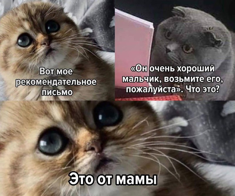 Россияне всё чаще ищут работу через знакомых, потому что эйчары просто не перезванивают.
Средний ср