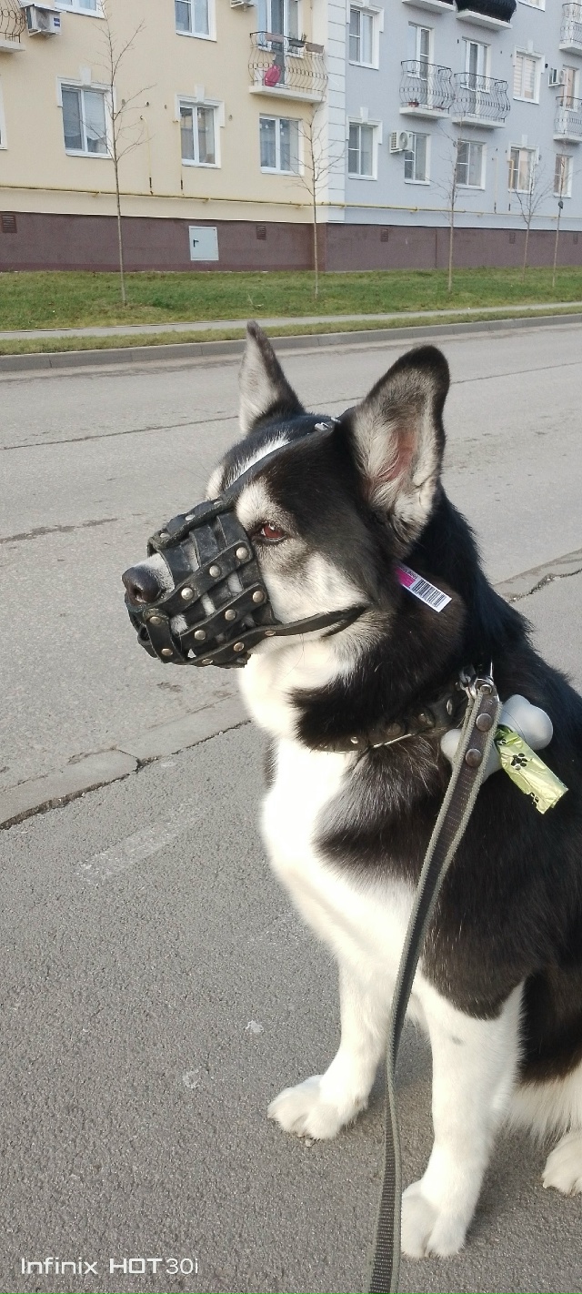 Сегодня 19.11.25 года около 16:00, возле Гостиного двора окол...