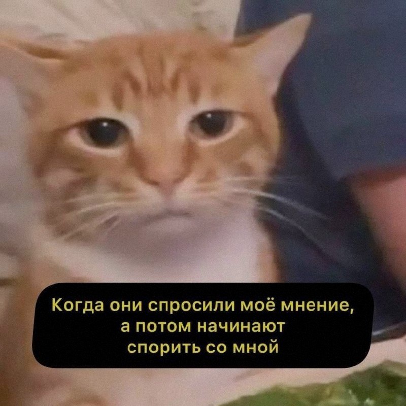 Ночная подборочка
Спать, режим