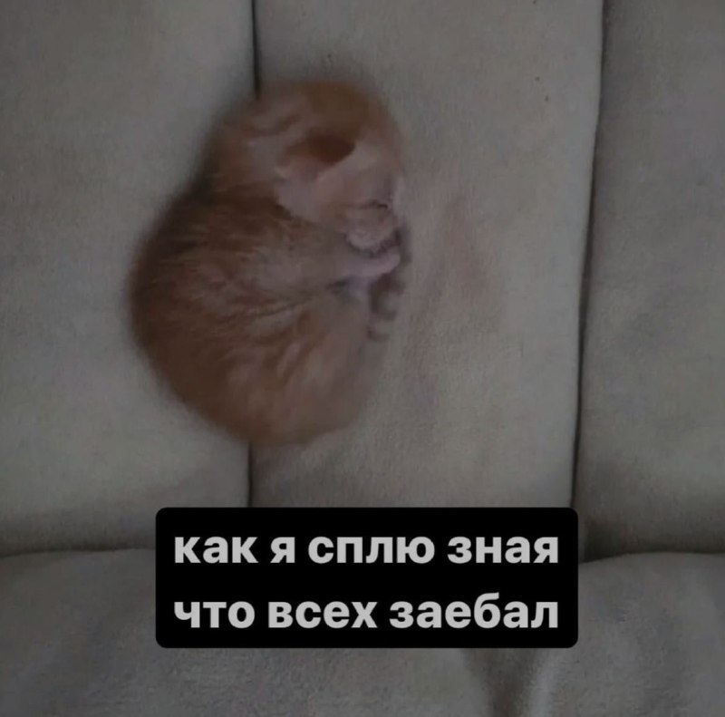 Ночная подборочка
Спать, режим