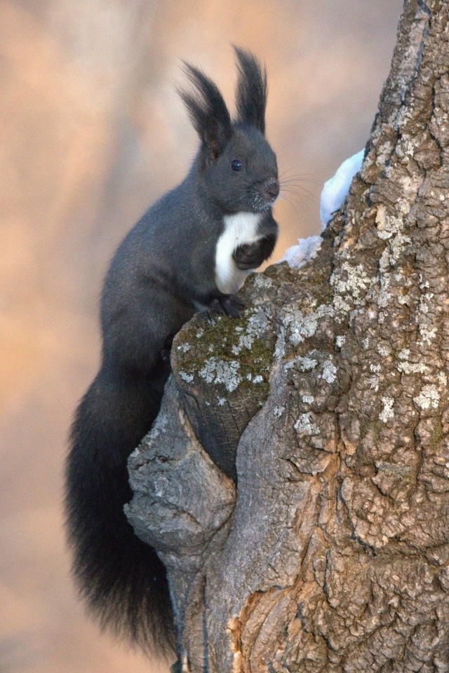 НАША ПЛАНЕТА 🌔...