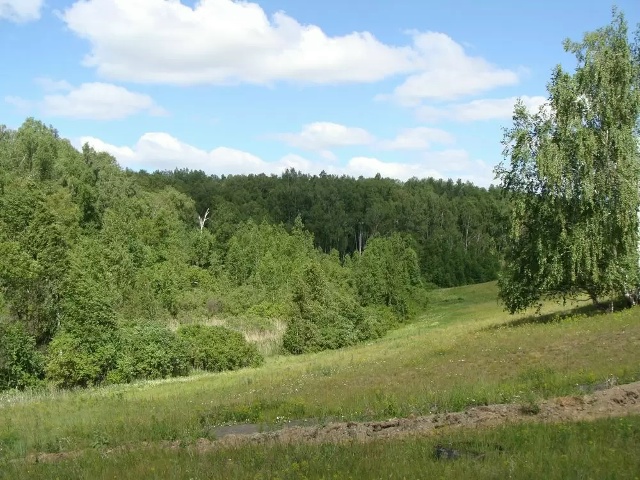 Деревенские заметки Недавно публиковал материал под ?...