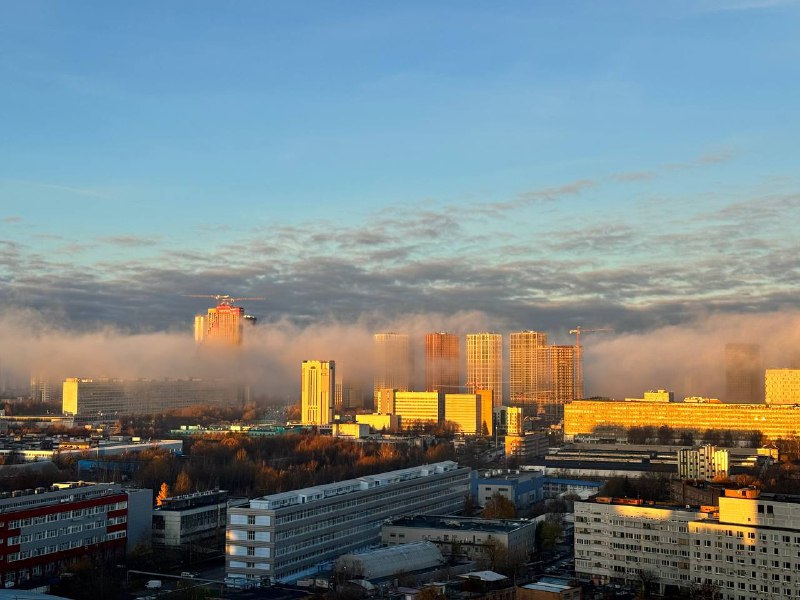 🌫️ «Жёлтый уровень» погодной опасности объявили в Москве из-за тумана МЧС предупреждает об ухудшен