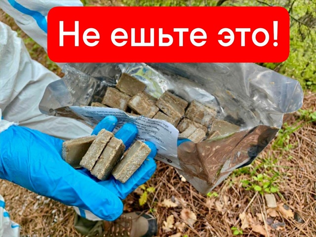 ‼️Важно! Если в лесу нашли эти 
