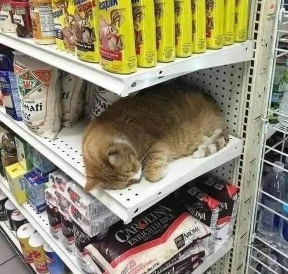 бесит когда приходиш в могозин за породуктами а там сп?...