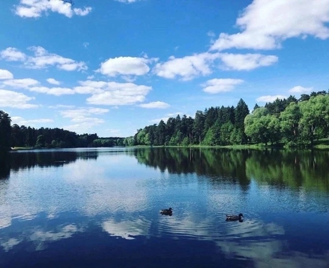 16 живописных водоемов неподалеку от Раменского и Жуко?...