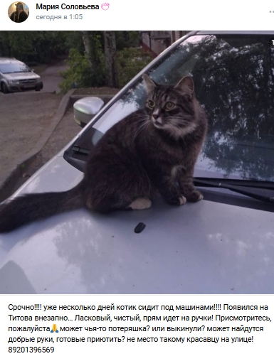 Пост добра. Распространите, пожалуйста.
