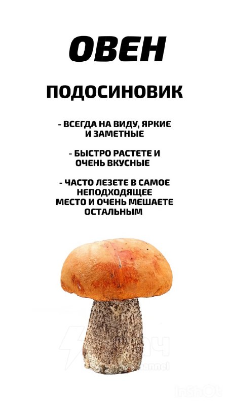 Российский астролог рассказал, какой ты гриб по знаку зодиака
Ищем себя