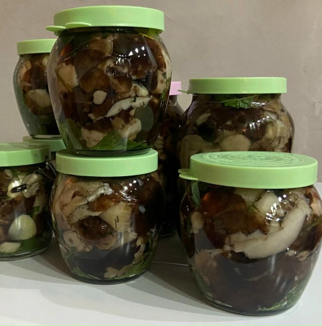 Продам грибы обращаться по номеру телефона 89083225612