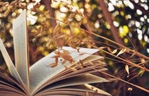 Взрослые знают стихи, но «нормой» считается умение всп...