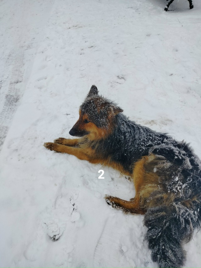 #ПотерялиНАшлиПомогите
1 Просьба кто видел данную соб...
