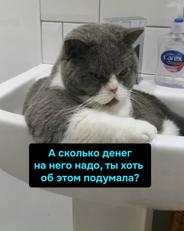 Наташа, мужик — это не только романтика, но и носки, веч...