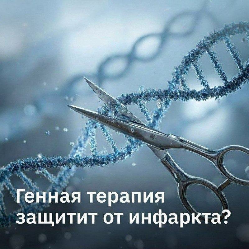 🧬 Редактирование генов снизило холестерин вдвое
У некоторых людей есть особая мутация в гене, кодир