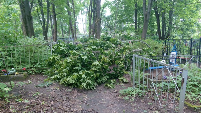 Здравствуйте, на старом кладбище опять упали деревья. ?...