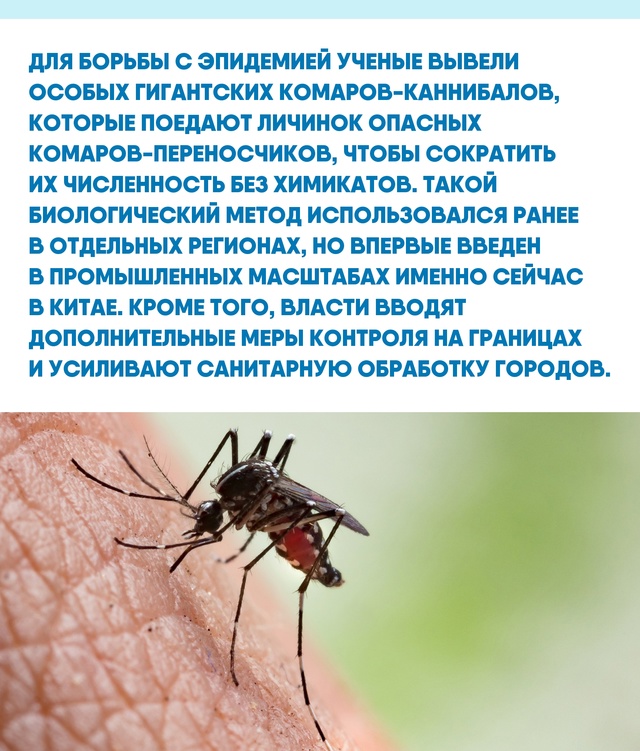 Когда вирус мутирует, а привычные методы не работают, д...