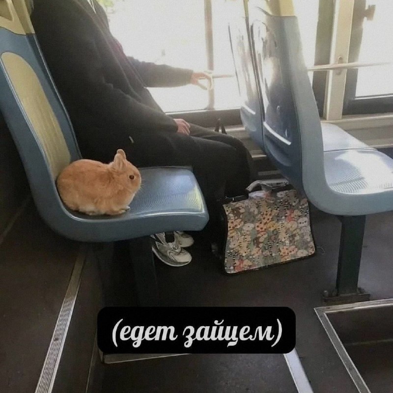 Ночная подборочка
Спать, режим