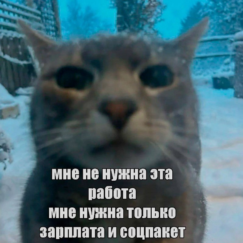 Ночная подборочка
Выходные, не спим